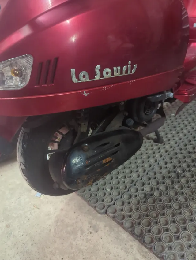 LA SOURIS SOURINI — SC-00024 — 6/6